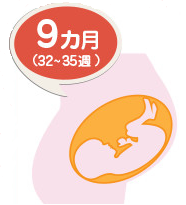 妊娠9ヵ月(32~35週),妊娠,後期,症状