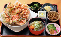 野菜かき揚げ丼,道の駅,千葉県,