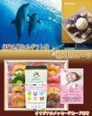 体験を贈れる&名入れスイーツティコーヒー写真入りメッセージカード 送料無料 送料込 内祝い 出産内祝い お祝い返し 初節句 七五三 入園 新入学 お菓子ギフト 1歳の誕生日のお返し カタログギフトとスイーツお菓子の成人式 桃の節句,出産内祝い,カタログギフト,