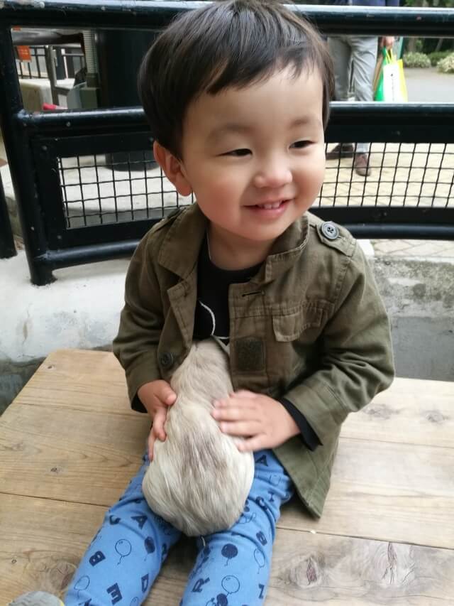 うさぎを抱く子ども,フォトコンテスト,動物園,結果