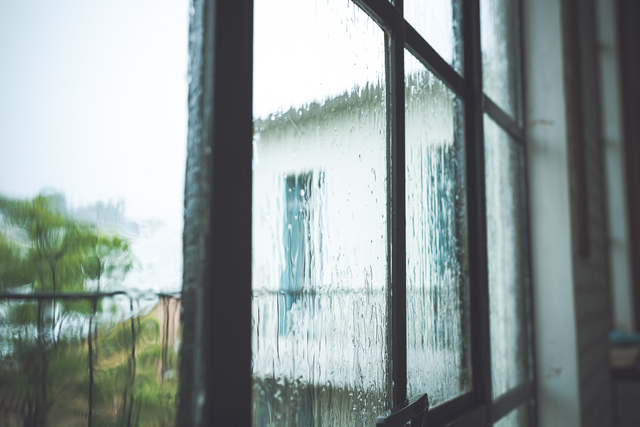 雨,妊娠,4ヶ月,赤ちゃん