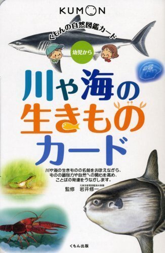 川や海の生きものカード (くもんの自然図鑑カード),くもん,カード,