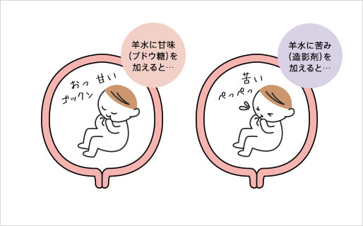 甘いのが好きで苦いのは嫌いな胎児,胎児,お腹の中,