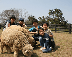 海の中道海浜公園の動物の森,海の中道海浜公園,サイクリング,遊具