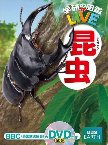 昆虫 (学研の図鑑LIVE(ライブ)),虫,図鑑,