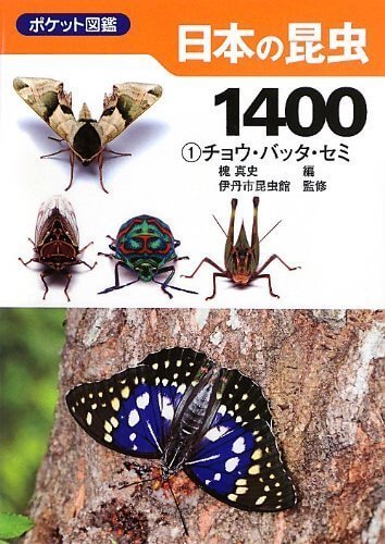 日本の昆虫1400 (1) チョウ・バッタ・セミ (ポケット図鑑),虫,図鑑,