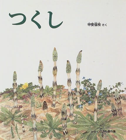 つくし (かがくのとも傑作集 どきどき・しぜん),甲斐 信枝,