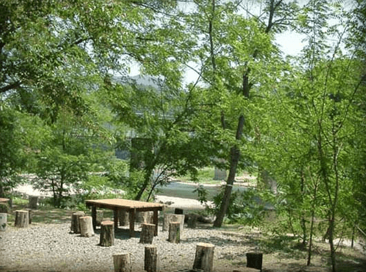 上小川キャンプ場,茨城県,おすすめ,キャンプ場