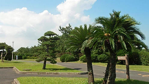 日川浜オートキャンプ場,茨城県,おすすめ,キャンプ場