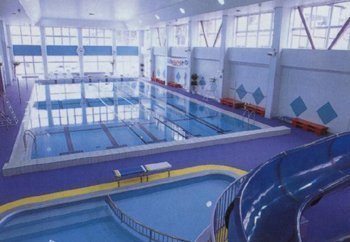 寿和温泉 ドリームタウン,ウォータースライダー,新潟,プール