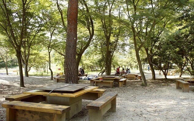 愛知県森林公園 森のバーベキュー湖畔,手ぶら,バーベキュー,愛知県