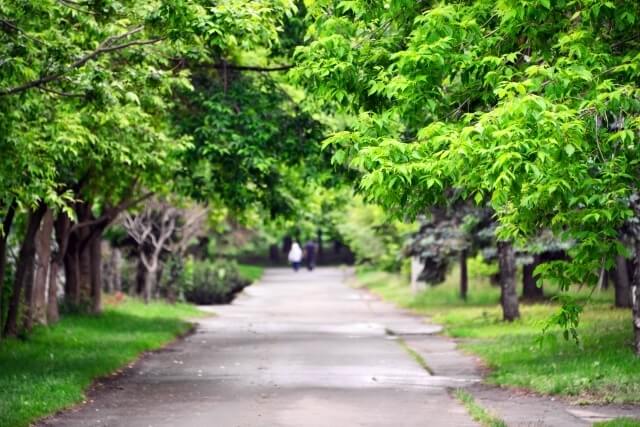 公園の写真,妊娠初期,気をつけること,
