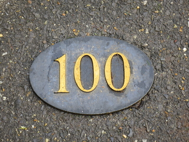 100のプレート,待ち時間,ゲーム,