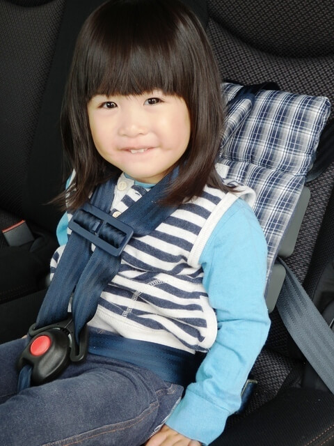 チャイルドシートを使うちょっと大きな子,チャイルドシート,レンタル,比較