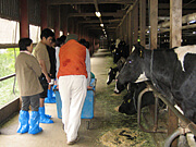 みねおかいきいき館,千葉県,動物園,動物と触れ合える