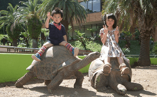 iZoo,動物園,東海,触れ合い