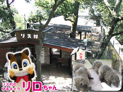 ぎふ金華山 リス村,動物園,東海,触れ合い