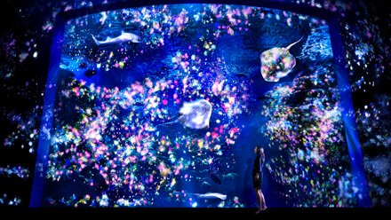 えのすい×チームラボ「ナイトワンダーアクアリウム2015」,東京,夜,水族館