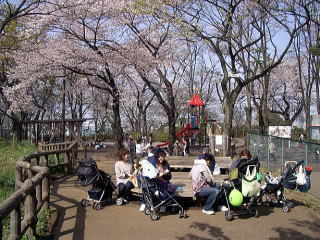 夢見ケ崎動物公園の富士見デッキ,夢見ケ崎動物公園,人気,レッサーパンダ