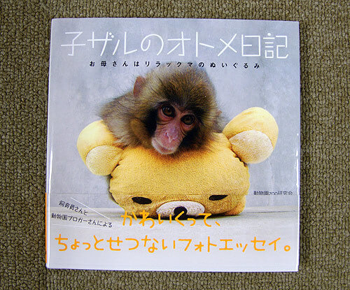 子ザルのオトメ日記,市川市動植物園,カワウソ,
