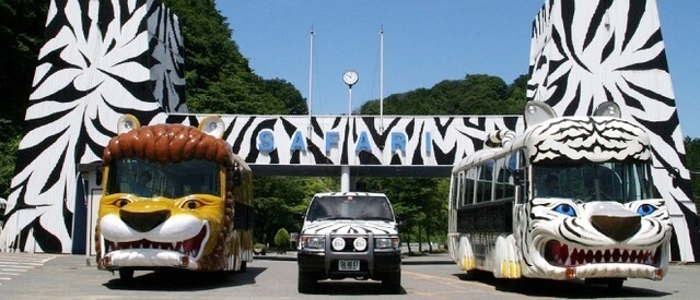 群馬サファリパーク入園方法,群馬サファリパーク,割引,