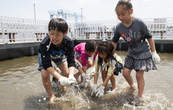 うみファーム魚とり,八景島シーパラダイス,うみファーム,海育