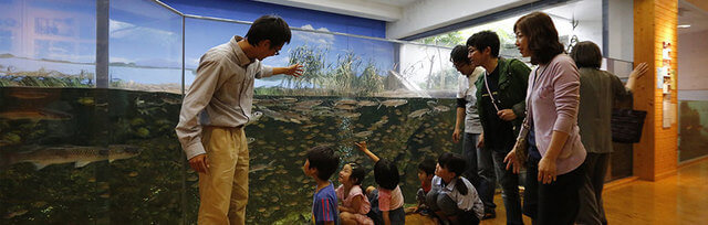 ,島根,水族館,子ども