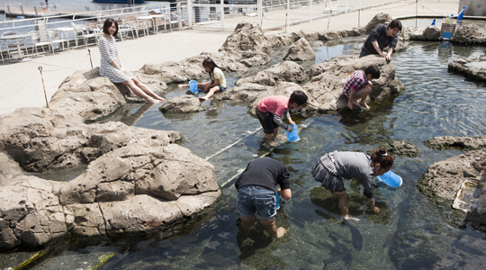 横浜八景島シーパラダイス,関東,水族館,おすすめ