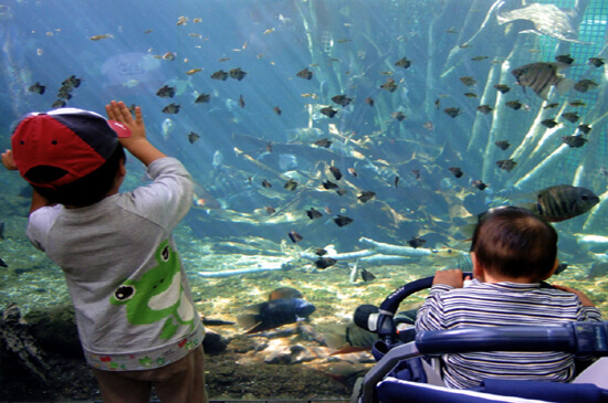 栃木県なかがわ水族館,関東,水族館,おすすめ