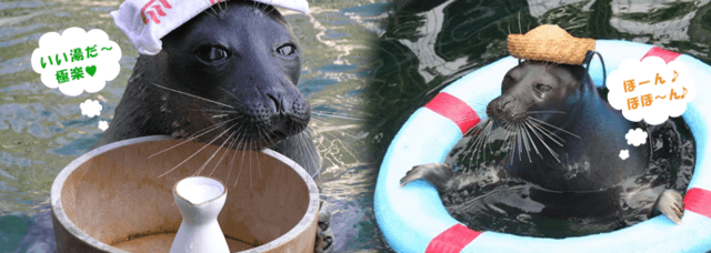 箱根園水族館,関東,水族館,おすすめ