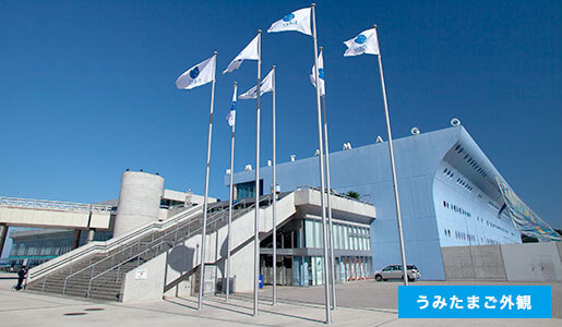 高崎山のすぐ近く!,水族館,うみたまご,