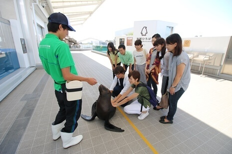 フレンドリータイムの様子,水族館,東北,
