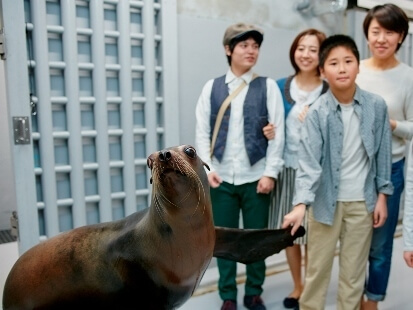 スタジアム バックヤードツアー,水族館,東北,