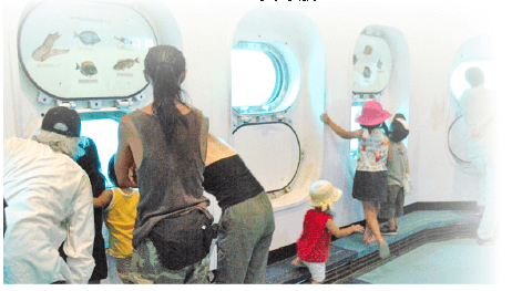 海中展望塔かつうら海中公園,水族館,千葉,