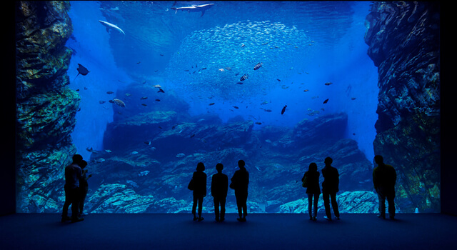「いのちきらめくうみ」の水槽,水族館,仙台,