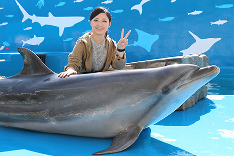 イルカタッチ&フォトの様子,水族館,仙台,