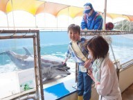 イルカ島イルカおでこタッチ,鳥羽,イルカ島,