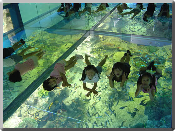 越前松島水族館の室内,越前松島水族館,