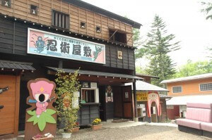 チビッ子忍者村 ,長野,遊園地,観光スポット