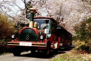 ちゃちゃワールドいしこし,宮城,人気,テーマパーク