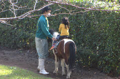 ポニー乗馬,あらかわ遊園,乗り物,子ども