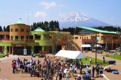 富士山こどもの国の街の広場,富士山こどもの国,キャンプ,