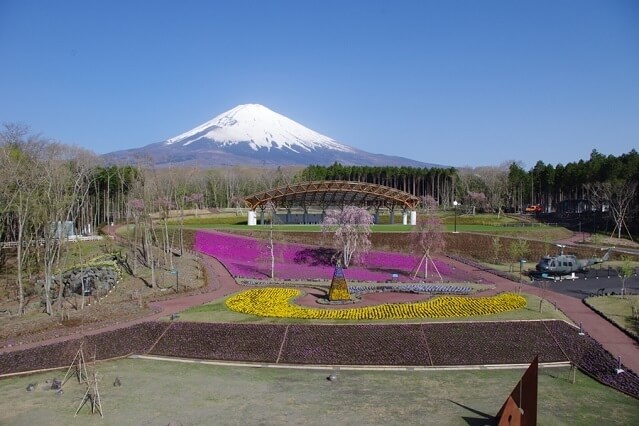 四季彩の丘,富士山樹空の森,