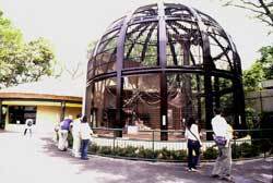 千葉市動物公園,関東,動物園,