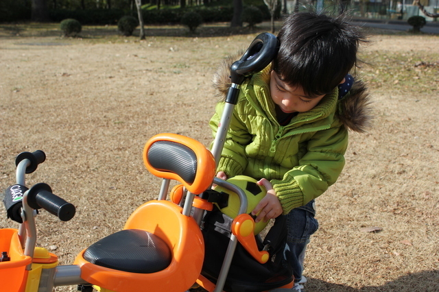 三輪車のかごにボールをしまう男の子,赤ちゃん,三輪車,