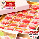 【早割】2019 母の日 ギフト プレゼントさくらんぼ 佐藤錦 プレミアムボックス(母の日にぴったり/秀品/Lor2Lサイズ/24粒入り)【早期特典付き/山形県産/母の日ギフト/贈り物/花/カーネーション/メッセージカード/果物/フルーツ/送料無料/お取り寄せ】,母の日,楽天,