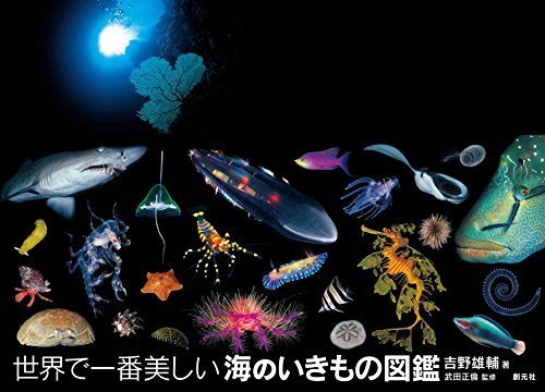 世界で一番美しい海のいきもの図鑑,