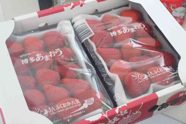 いちご,コストコ,おすすめ,