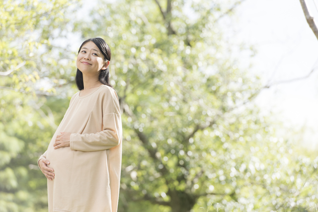 ママの大切なお腹,妊娠31週,胎児,