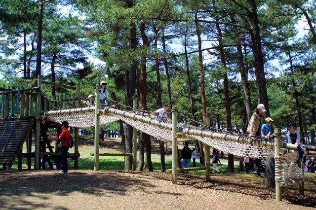 国営ひたち海浜公園,アスレチック,茨城,